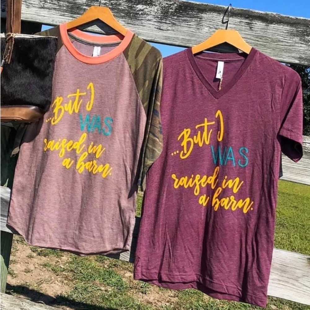 Sts Ranchwear But I Was Raised In A Barn Tee